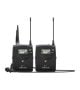 GPR0 (81)